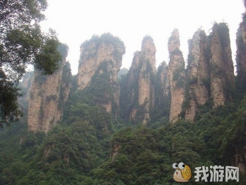 ���� 1 - ����.gif