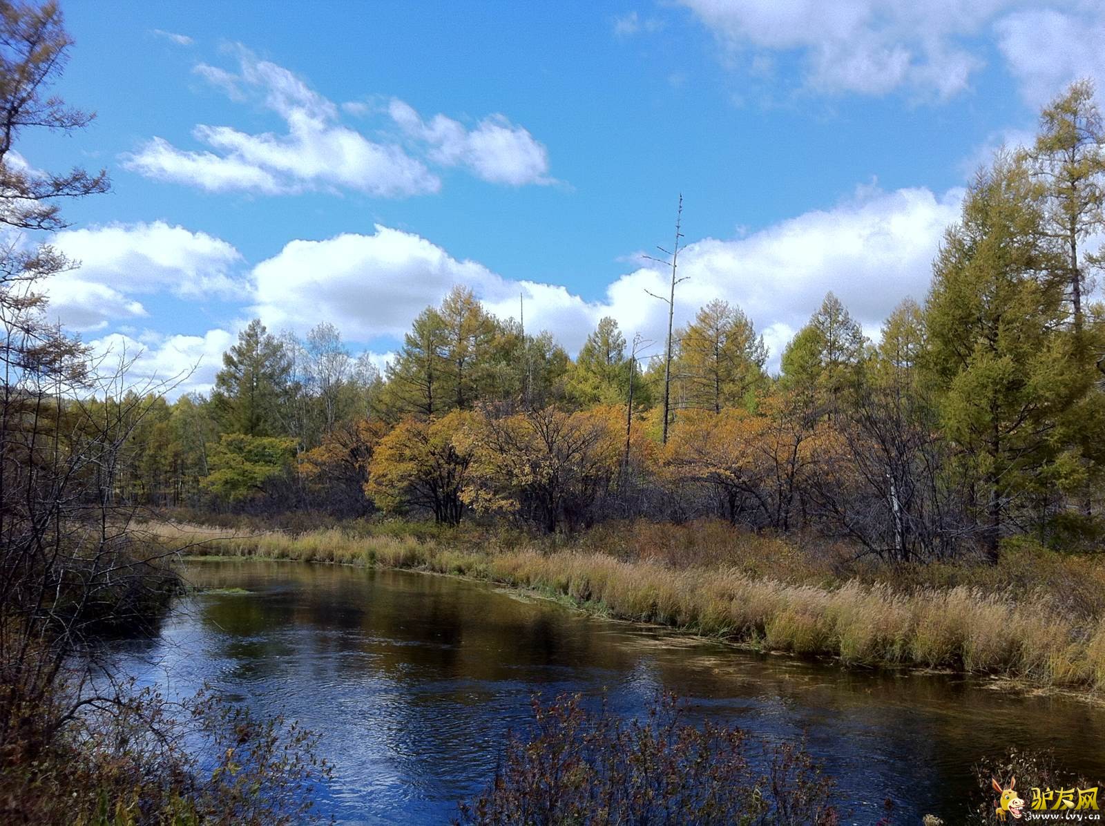 75E9424A-F89E-4423-B78E-09B83D1C0D96 - ����.jpg