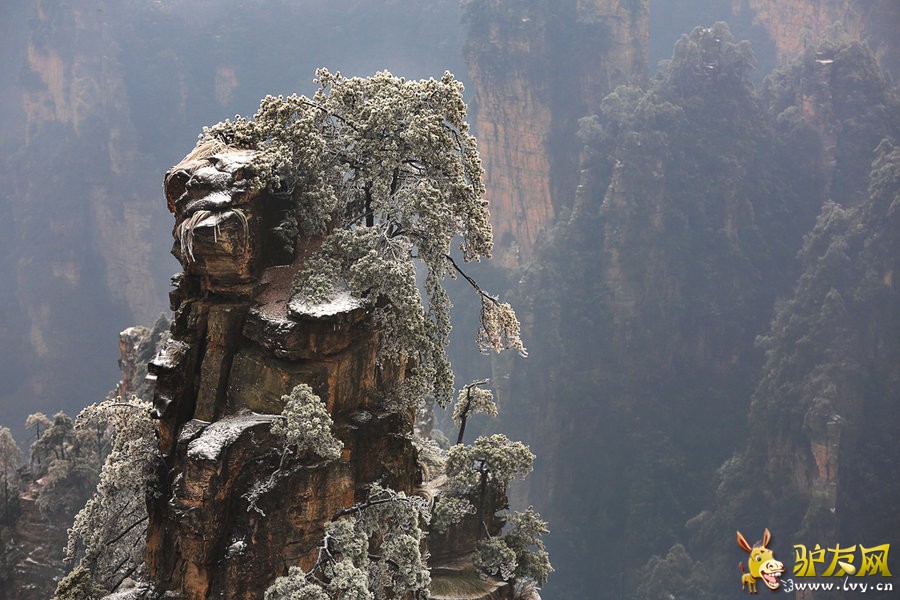 雪景1.jpg