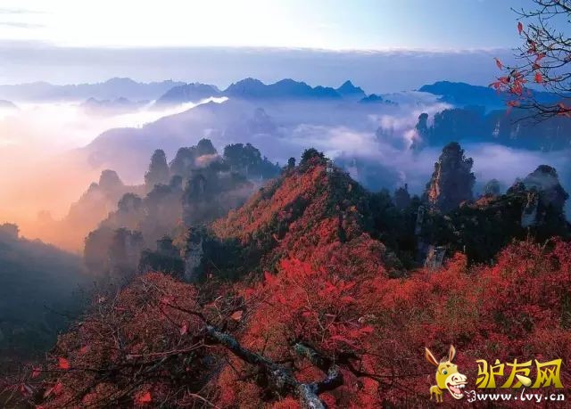QQ图片20160330134650.jpg