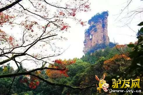 QQ图片20160330134635.jpg